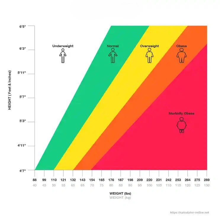 bmi chart men and women